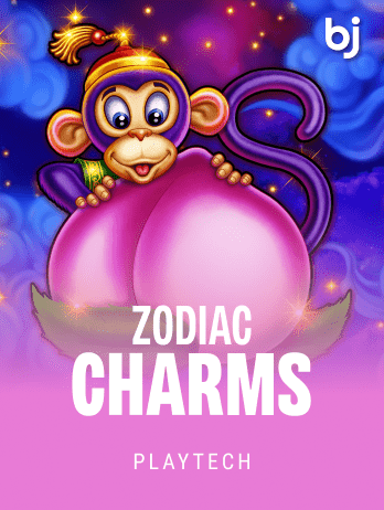 Zodiac Charms